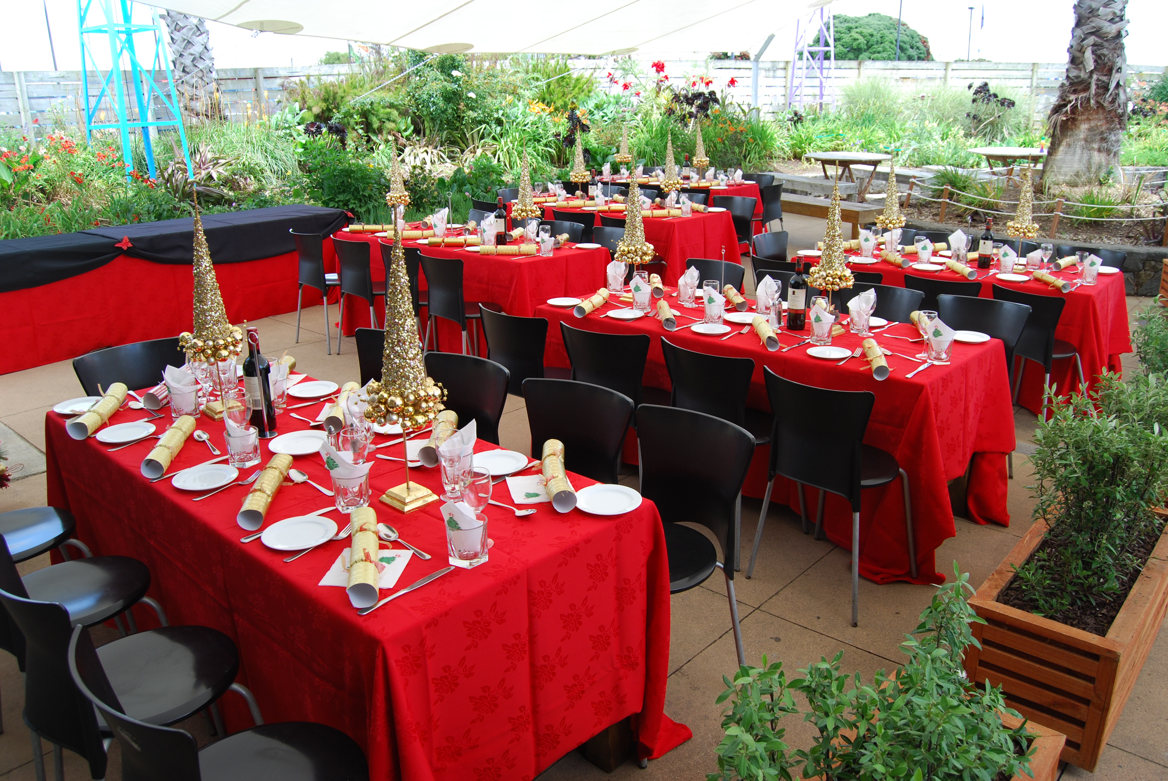 Christmas Functions - Butterfly Creek