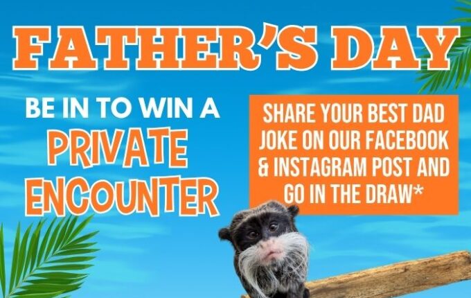 Win a Private Encounter for Dad